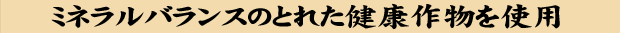レストラン固定ページ2